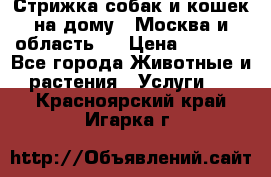 Стрижка собак и кошек на дому.  Москва и область.  › Цена ­ 1 200 - Все города Животные и растения » Услуги   . Красноярский край,Игарка г.